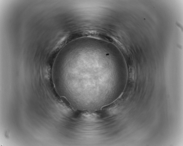 X0000099380712200805081446