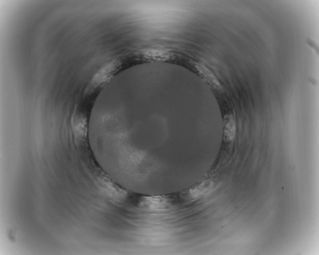 X0000099380713200805081446
