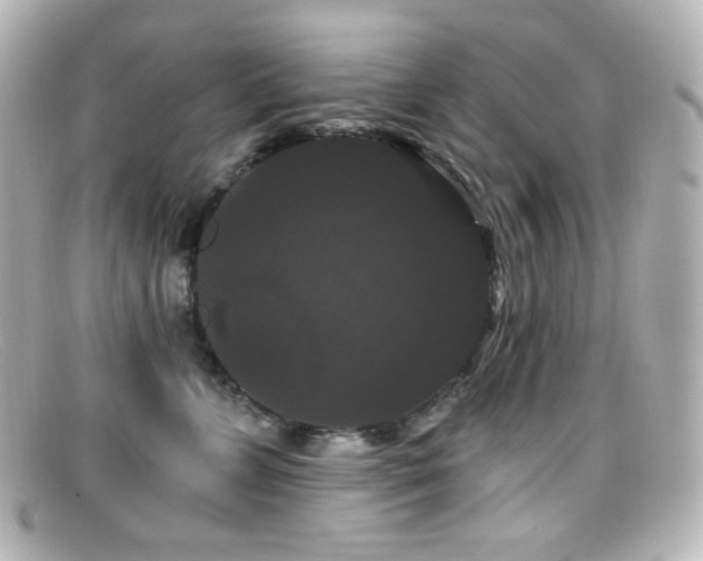 X0000099380715200805081446