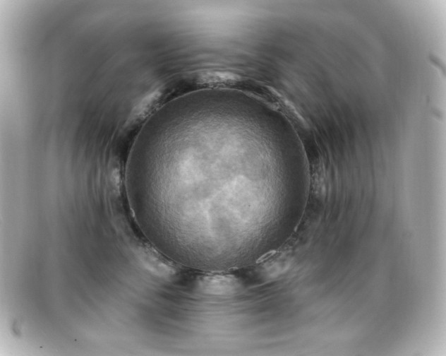 X0000099380716200805081446