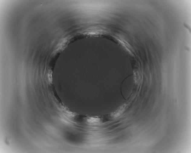 X0000099380718200805081446