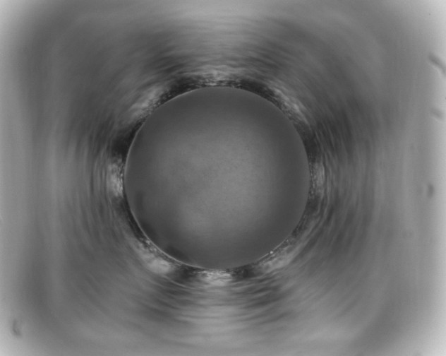 X0000099380719200805081446