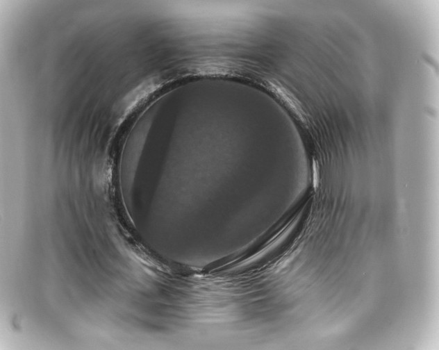X0000099380723200805081445