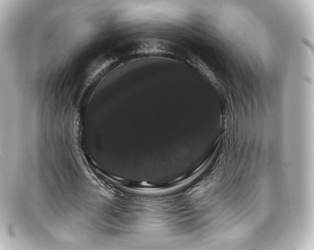 X0000099380724200805081445