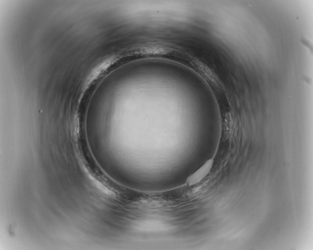X0000099380726200805081445