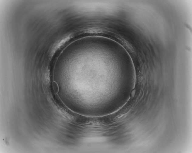 X0000099380727200805081445