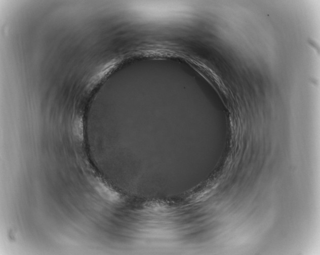 X0000099380729200805081445