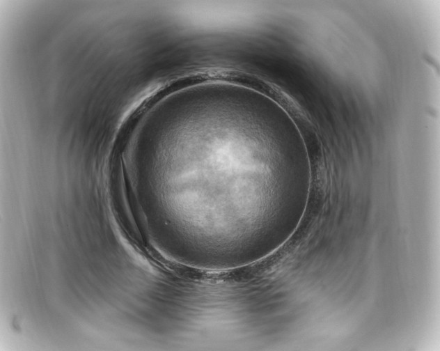 X0000099380730200805081445