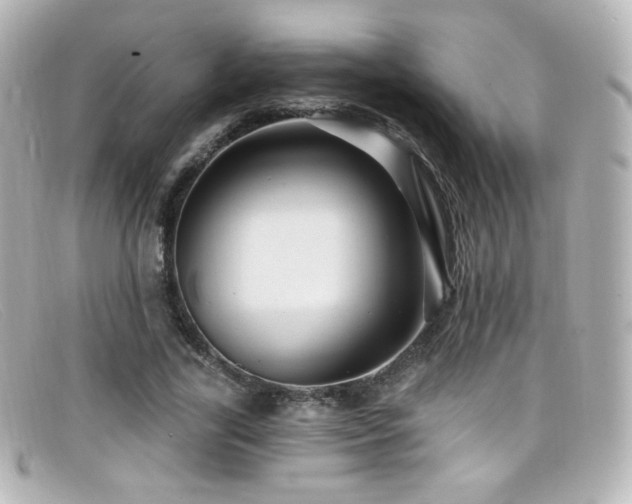 X0000099380731200805081445