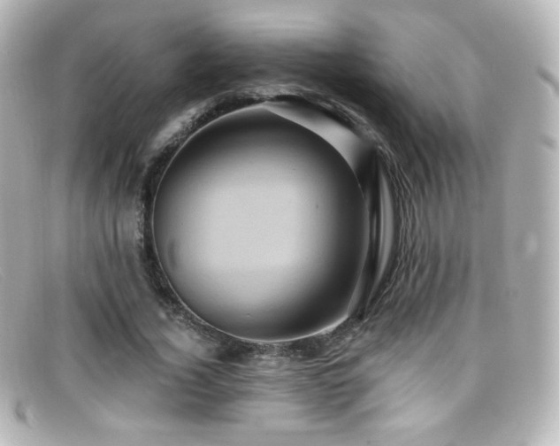 X0000099380732200805081445