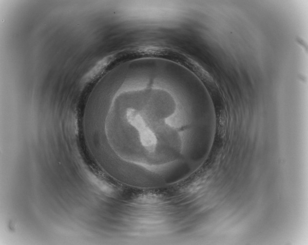 X0000099380734200805081445