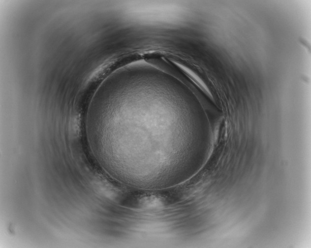 X0000099380735200805081445