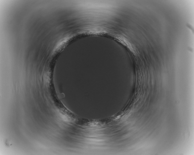 X0000099380736200805081445