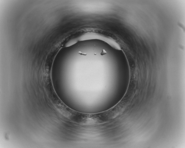 X0000099380737200805081445