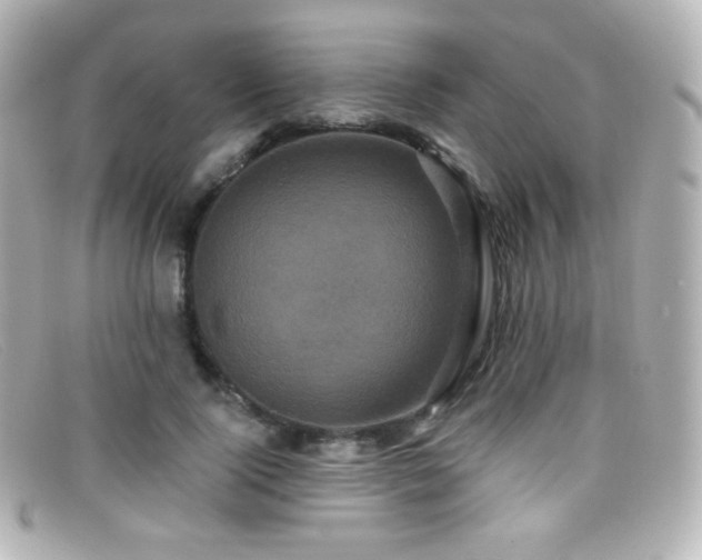X0000099380740200805081445