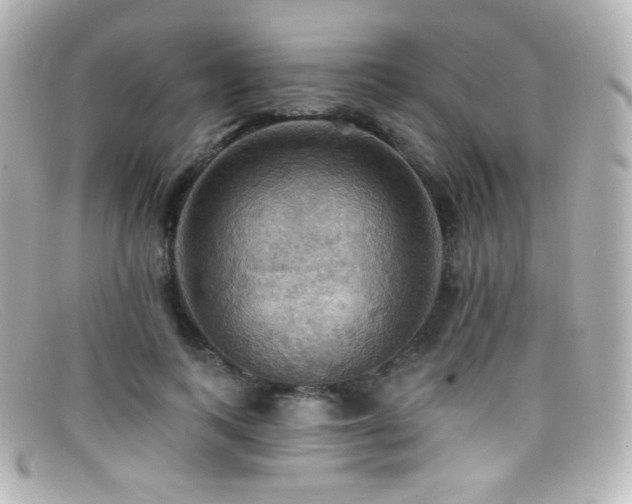 X0000099380743200805081445