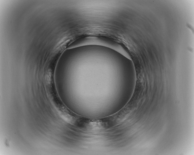X0000099380744200805081445
