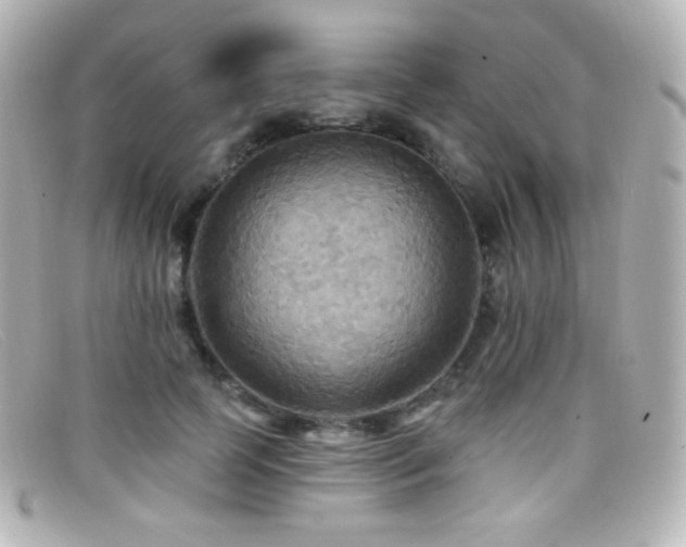 X0000099380745200805081445