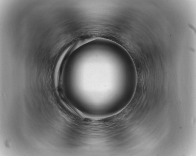 X0000099380746200805081445