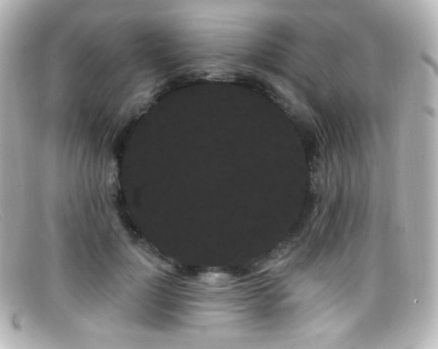 X0000099380748200805081445