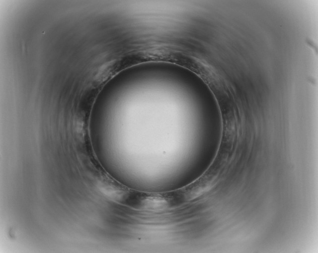 X0000099380749200805081445