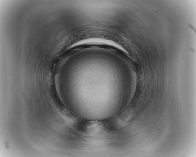 X0000099380750200805081446