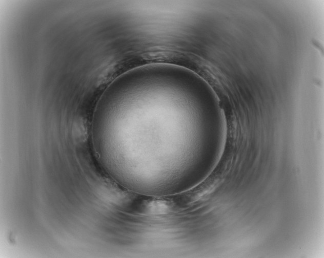 X0000099380751200805081446