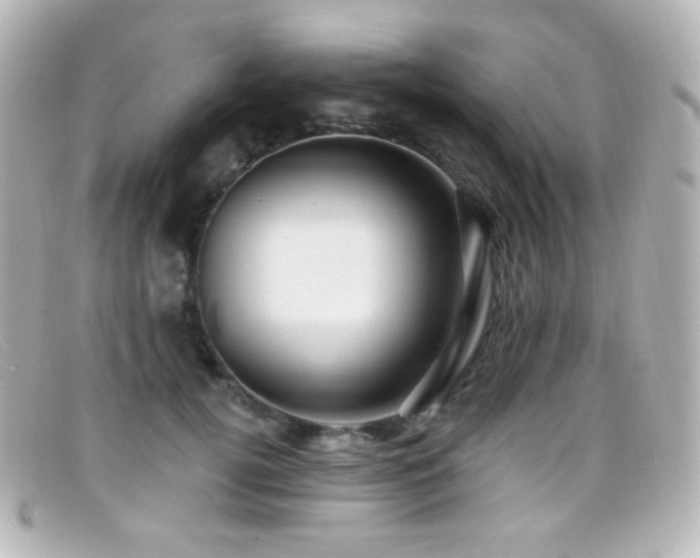 X0000099380752200805081446