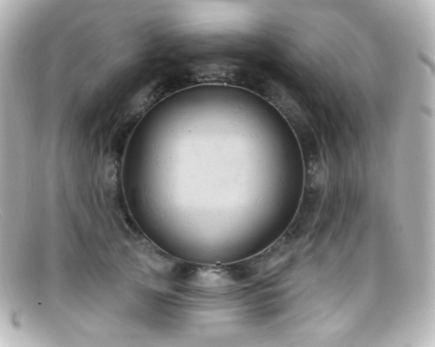 X0000099380753200805081446