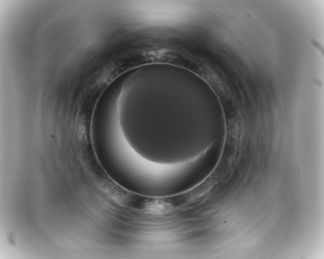 X0000099380754200805081446