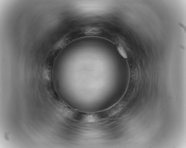 X0000099380755200805081446