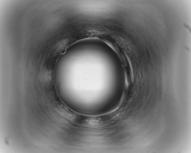 X0000099380756200805081446