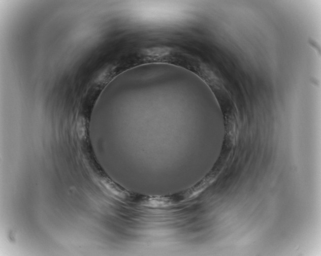 X0000099380758200805081446