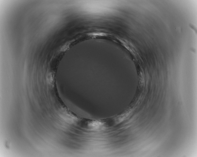 X0000099380759200805081446