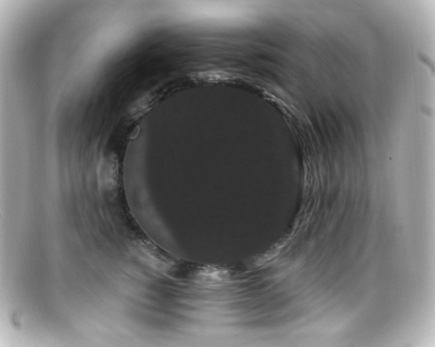 X0000099380760200805081446