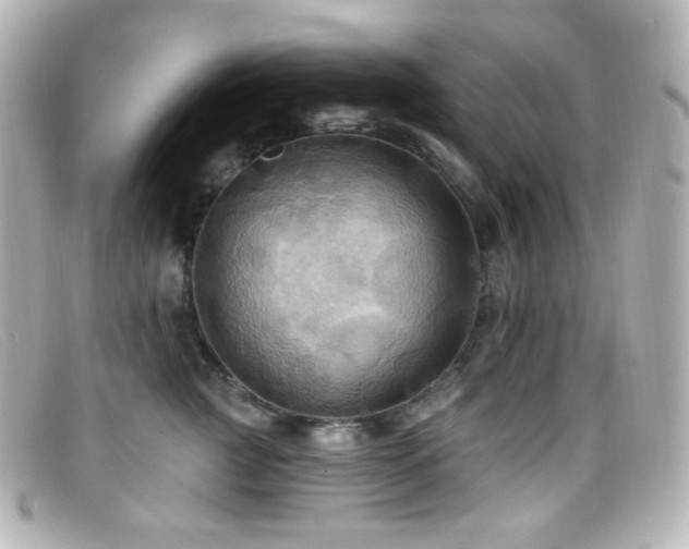 X0000099380761200805081446