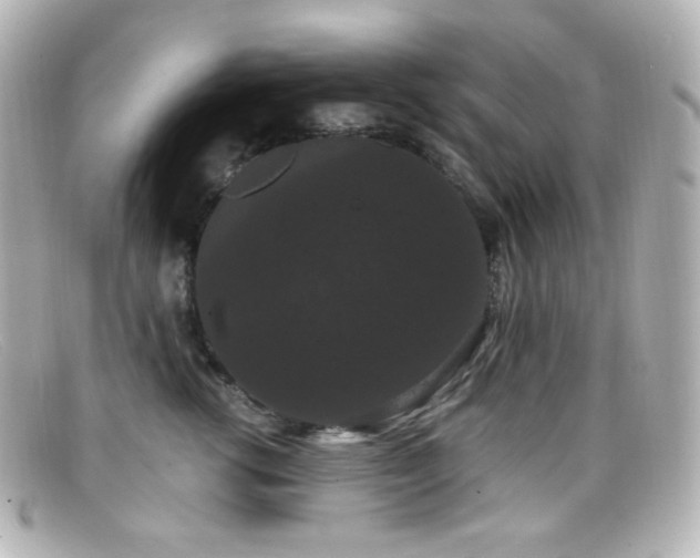 X0000099380762200805081446