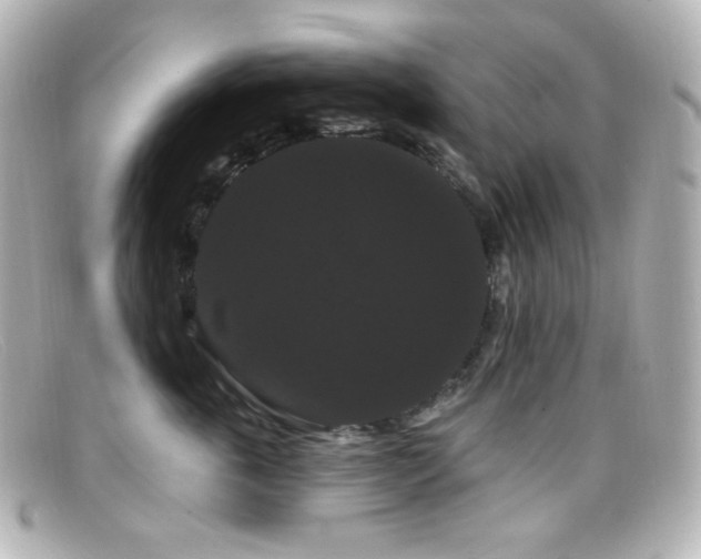 X0000099380763200805081446
