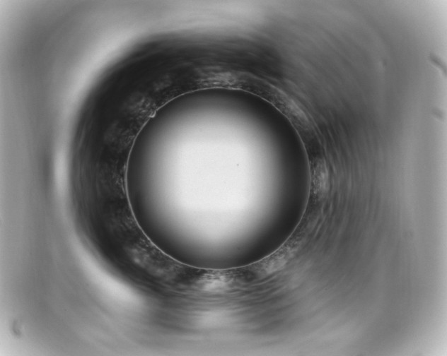 X0000099380764200805081446