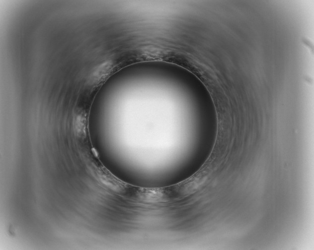X0000099380768200805081446