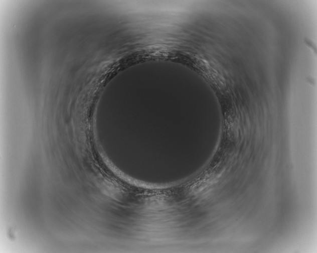 X0000099380769200805081445