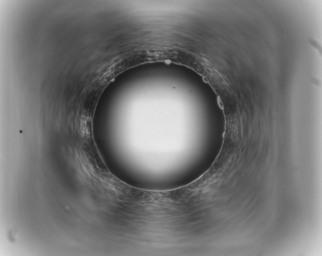 X0000099380770200805081445
