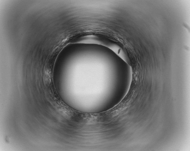 X0000099380772200805081445