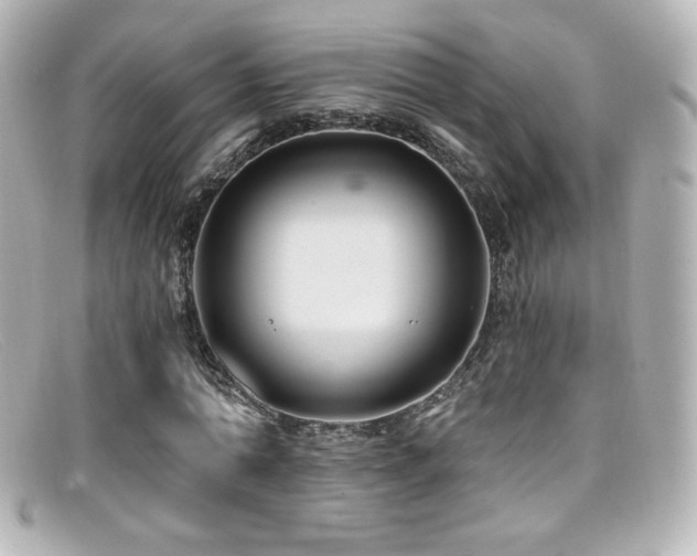 X0000099380774200805081445