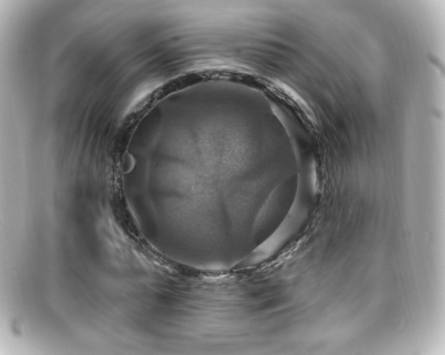 X0000099380775200805081445