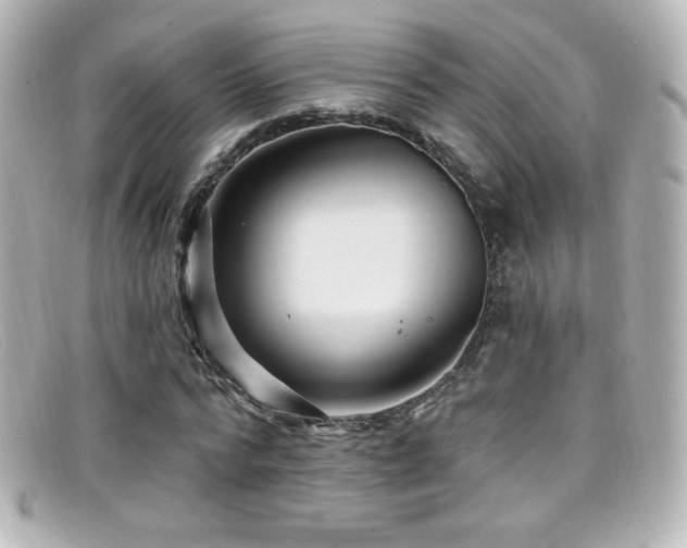 X0000099380776200805081445