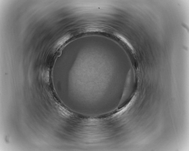 X0000099380777200805081445