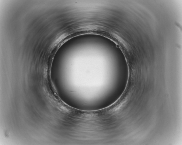 X0000099380778200805081445