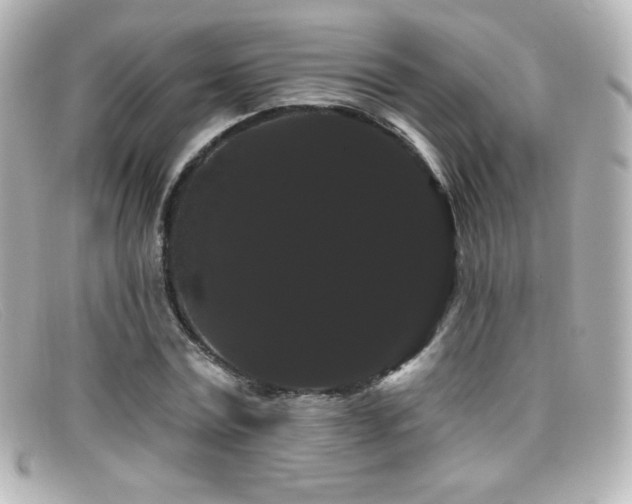 X0000099380779200805081445