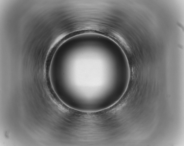 X0000099380780200805081445